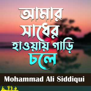Amar Sadher Hawai Gari Chole