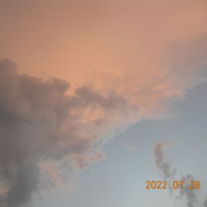 好像掉进爱情海里（Cover赵露思）