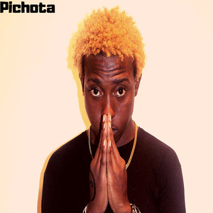 Pichota