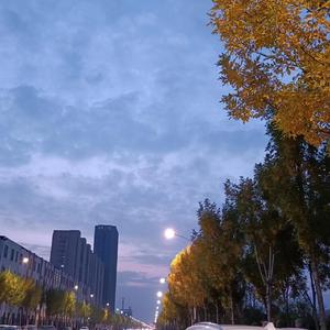 恋恋风尘 （Cover 老狼）