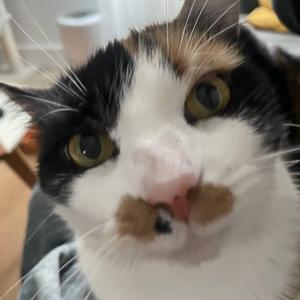 paper planes. thank you breakcore is not a good way to get laid