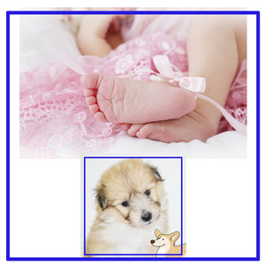 잠든 아기 옆에서 애완견 강아지가 물먹는 소리