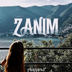ZANIM