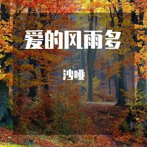 爱的风雨多-（改编dj舞曲小姐姐夜店）