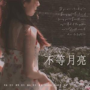 不等月亮