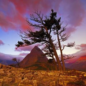 和爱人相遇的午后