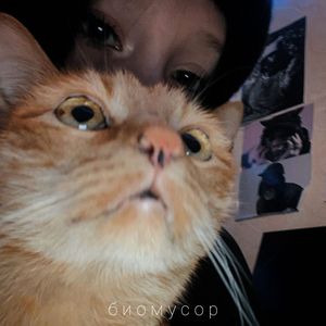 Руки - лапки