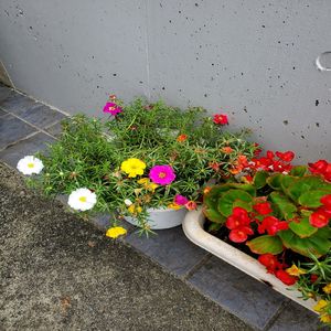 雨降りの土曜日