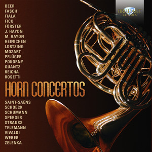 Horn Concerto No. 1 in D Major, Hob. VIID:3: I. Allegro