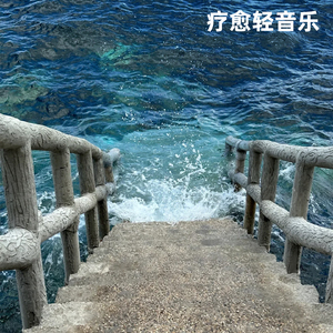 白茶清欢 (传递白茶淡雅滋味的旋律)