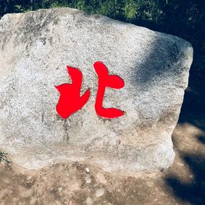 人生最大的败笔_朱志刚