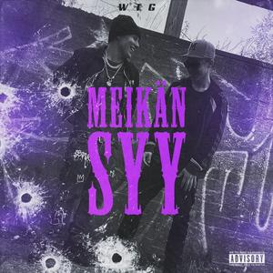 MEIKÄN SYY
