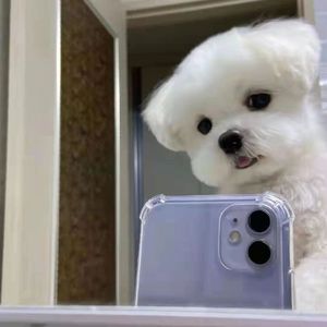 mmexport1660472220114_20220814_181708