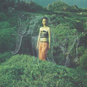 The Elephant Song (feat. Ánnámáret & Baridi Baridi)