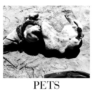 Pets (feat. Sun Organ)