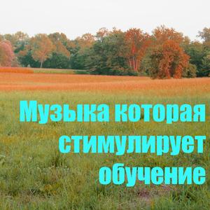 ?????? ??????? ??????????? ???????? 2