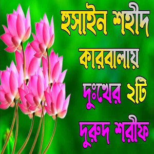 হোসেন শহীদ কারবালায় গজল মা ফাতেমার নয়ন মনি গজল