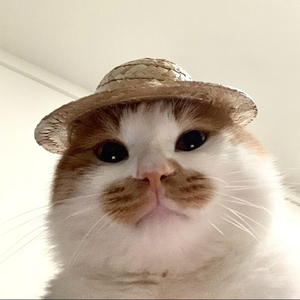 孤单