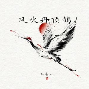 风吹丹顶鹤(片段)