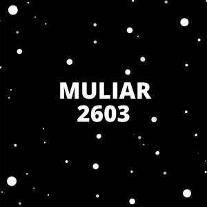 2603