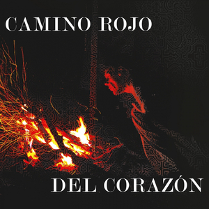 Ayahuasca