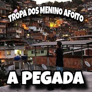 Tropa dos Menino Afoito