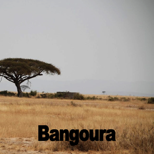 Bangoura