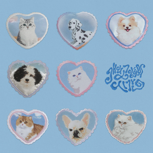 개와 고양이의 시간