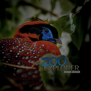 Zoo Explorer