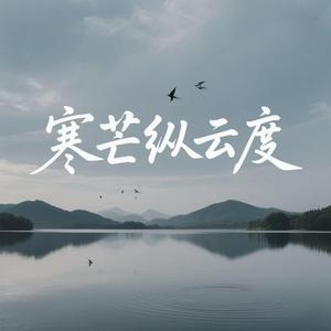 寒芒纵云渡