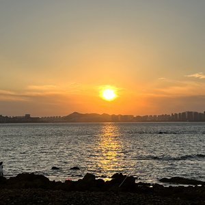 第五个季节Freestyle