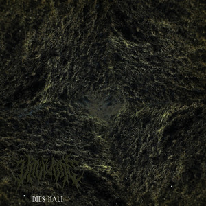 Chlorarachniphytic Filamentive Polysaccharidic Macromolecules