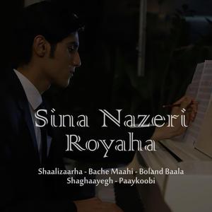 Shaalizaarha