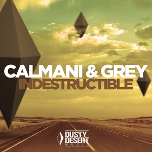 Indestructible (Radio Edit)