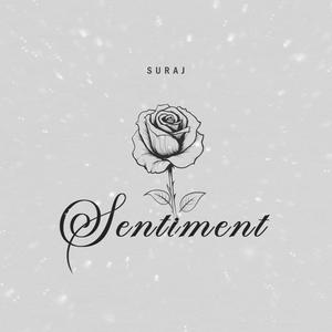 Sentiment