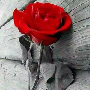 abduwali tohti - 乌鲁木齐加油‘我们爱你.mp3-伴奏（翻自 piranik）