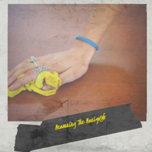 Measuring The Marigolds