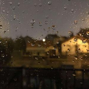 1995年，你没有回来（热搜）