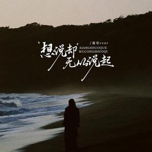 想说却无从说起 (烟嗓女版)