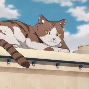 南城(Cover 陈柏霖)