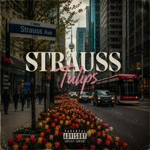 Two Strauss Tulips