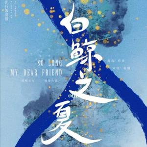 白鲸之夏之大白