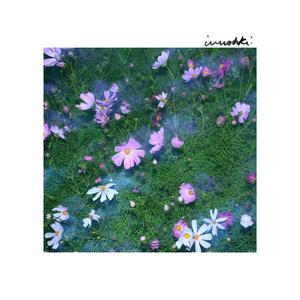 ивушки (feat. Hinsberger)