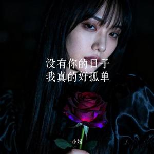 没有你的日子我真的好孤单 (Cover 韩晶)