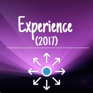 Experience