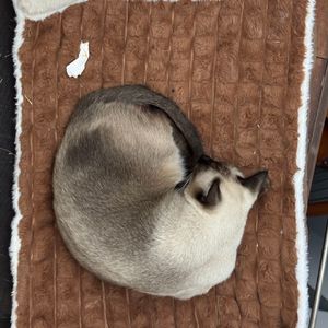 夏夜最后的烟火