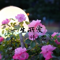 红豆曲+一生所爱 (Single Version)