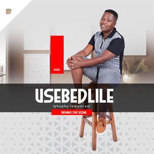 Thina ayisehlul' impilo