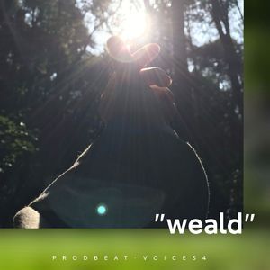 [FREE]pop x active type guitar beat "weald"