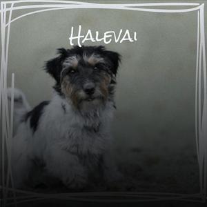 Halevai
